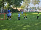 Mini Toernooitje op Sportpark Het Springer met S.K.N.W.K. JO7 en De Jonge Spartaan JO7 (111/174)